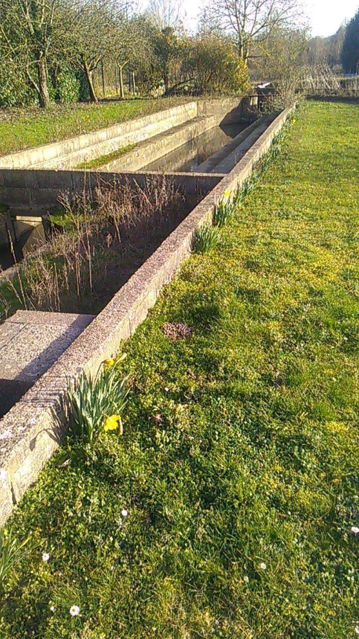 Gite Du Pont De Tancelle Préaux Zewnętrze zdjęcie